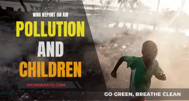 Air Pollution's Impact on Children: WHO Report