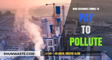 Who Profits from Pollution? Exploring Pay-to-Pollute Policies and Their Impact
