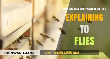 Efficiency in Nature: The Wisdom of Bees and Flies