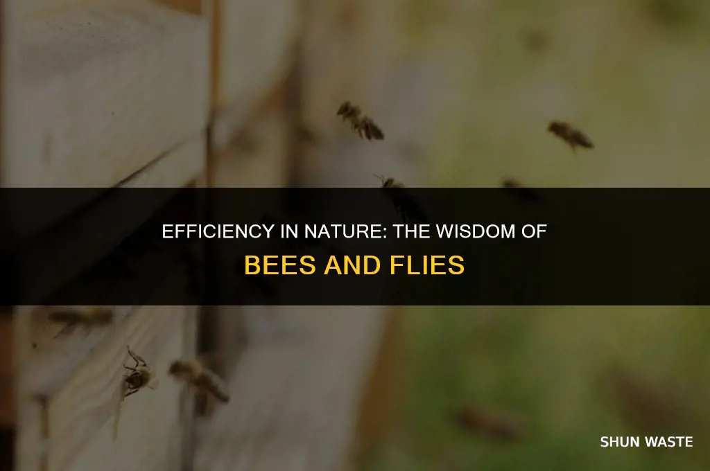 who said bees don