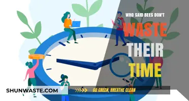 Efficiency in Nature: Debunking the Myth About Bees' Time Management