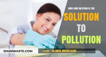 Dilution as Pollution Solution: Myth or Misguided Environmental Strategy?