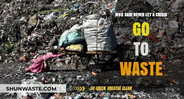 Never Let a Crisis Go to Waste: Origins and Impact