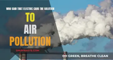 Electric Cars: Pollution Solution or Misguided Mission?