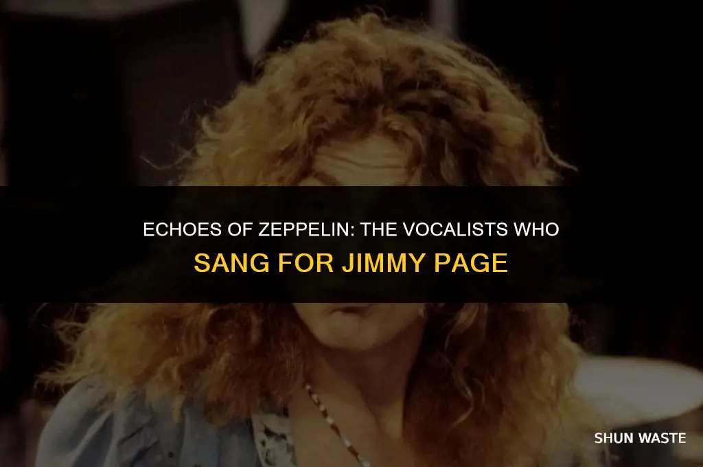 who sang for jimmy page wasting my time