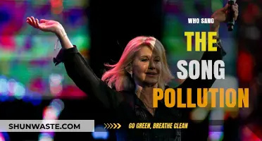 Who Sang the Song 'Pollution'? Uncovering the Voice Behind the Hit