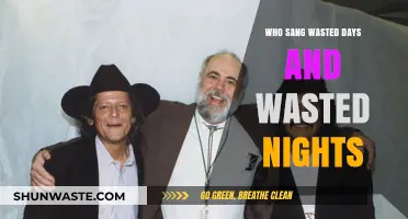Who Sang 'Wasted Days and Wasted Nights'? Uncovering the Iconic Voice