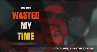 Who Sang 'Wasted My Time'? Unraveling the Mystery Behind the Lyrics