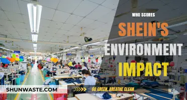 Unveiling Shein's Environmental Footprint: Who Scores Their Impact?