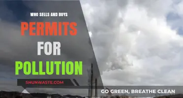 Pollution Permits: Who Sells, Buys, and Profits from Emissions Trading?
