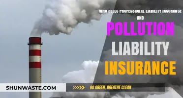 Top Providers for Professional and Pollution Liability Insurance Coverage