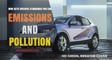 Who Regulates Car Emissions and Pollution Standards Globally?