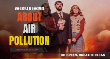 Air Pollution: Who's at Risk and Why?
