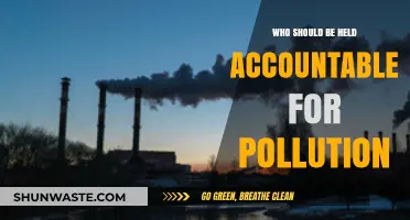 Pollution Accountability: Who Bears Responsibility for Environmental Degradation?