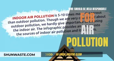 Who Pollutes Our Air and How Can We Stop Them?