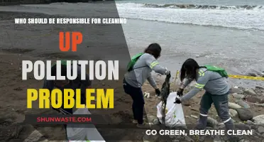 Cleaning Up Pollution: Who Bears the Responsibility for a Sustainable Future?