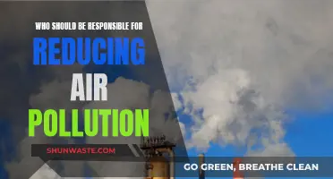 Governments and Industries: Who Will Reduce Air Pollution?