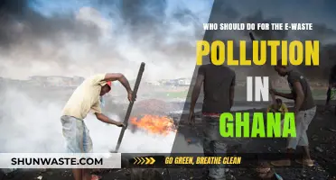 Addressing Ghana's E-Waste Crisis: Who Should Take Responsibility?