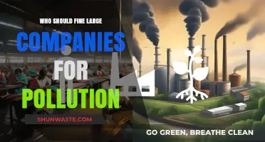Who Should Hold Polluting Corporations Accountable: Governments or Regulators?
