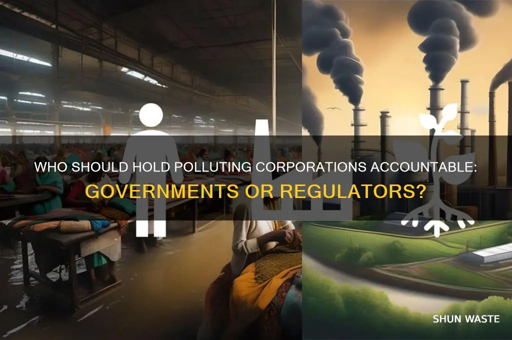who should fine large companies for pollution