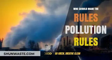 Who Should Set Pollution Rules: Governments, Corporations, or Communities?