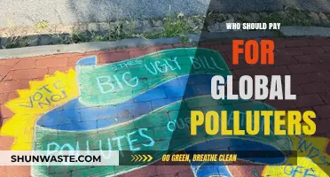 Global Polluters' Bill: Who Should Foot the Environmental Cleanup Cost?