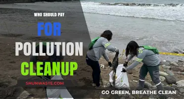 Pollution Cleanup Responsibility: Who Should Bear the Financial Burden?