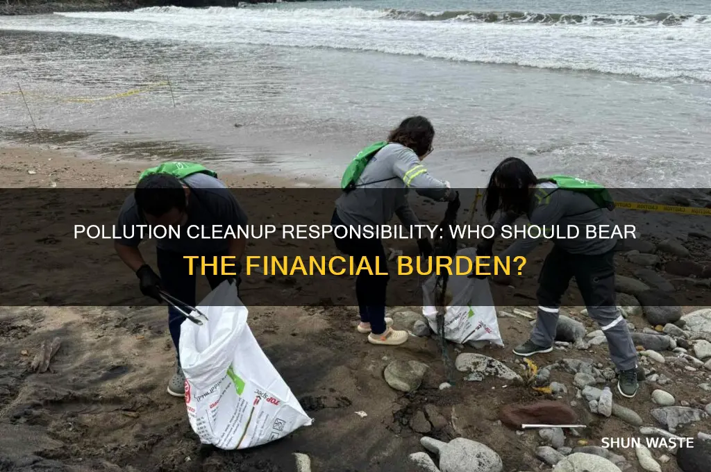 who should pay for pollution cleanup
