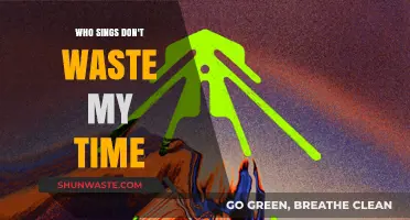 Exploring the Soulful Voice Behind 'Don't Waste My Time