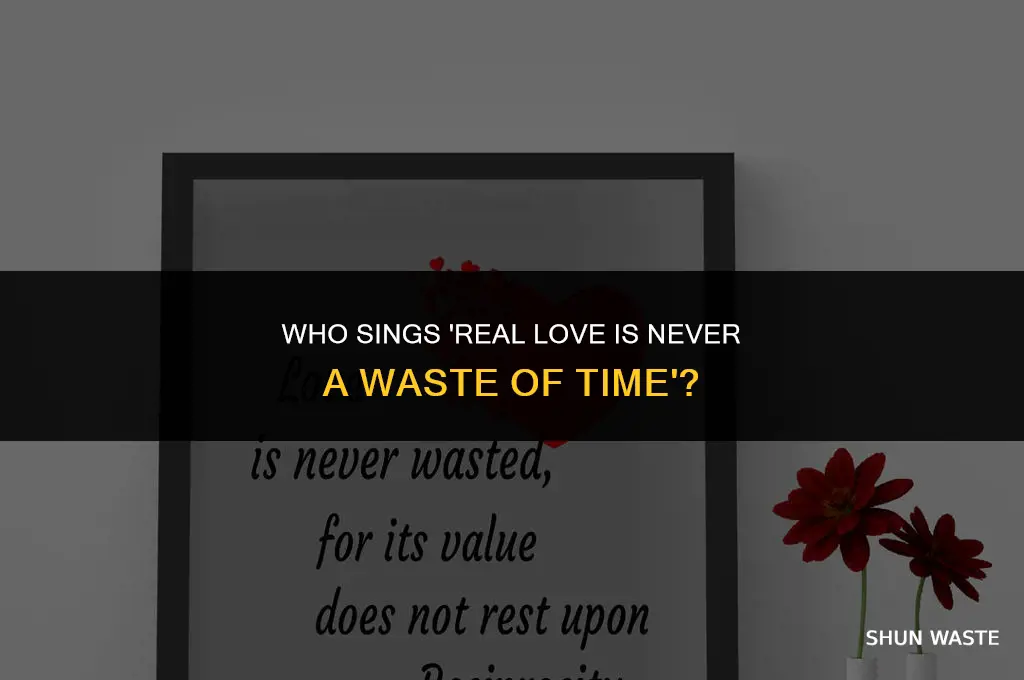 who sings real love is never a waste of time