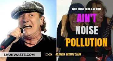 Who Sings 'Rock and Roll Ain't Noise Pollution'? Unveiling the Iconic Voice