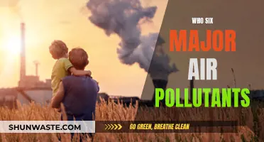 Air Pollutants: Six Major Hazards to Watch Out For