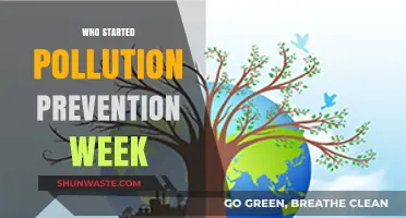 Unveiling the Origins of Pollution Prevention Week: A Historical Perspective