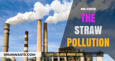 Unveiling the Origins of Straw Pollution: A Historical Perspective