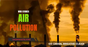 Air Pollution Investigators: Uncovering the Truth