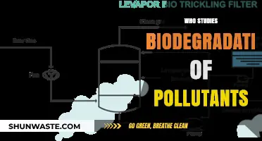 Exploring Biodegradation: Scientists Unraveling Pollutant Breakdown Mechanisms