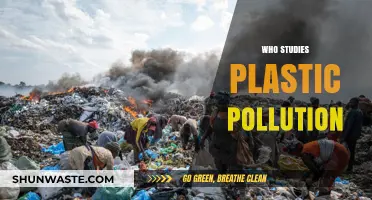 Unveiling Plastic Pollution Researchers: Who Studies Our Environmental Crisis?
