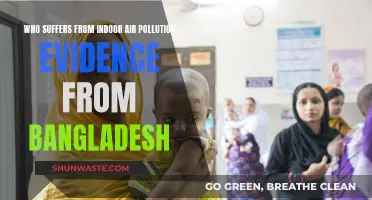 Indoor Air Pollution: A Health Crisis in Bangladesh