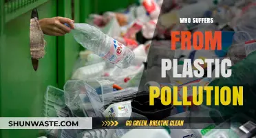 Plastic Pollution's Victims: From Wildlife to Humans and Ecosystems