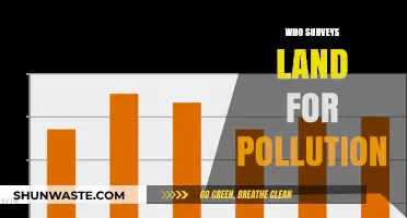 Who Surveys Land for Pollution? Experts, Methods, and Environmental Impact