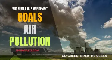 Sustainable Development: Reducing Air Pollution, Saving Our Planet
