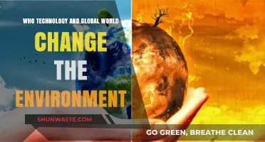 How Technology and Globalization Are Transforming Our Environment