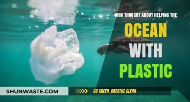 Helping Ocean Life: Reducing Plastic Pollution