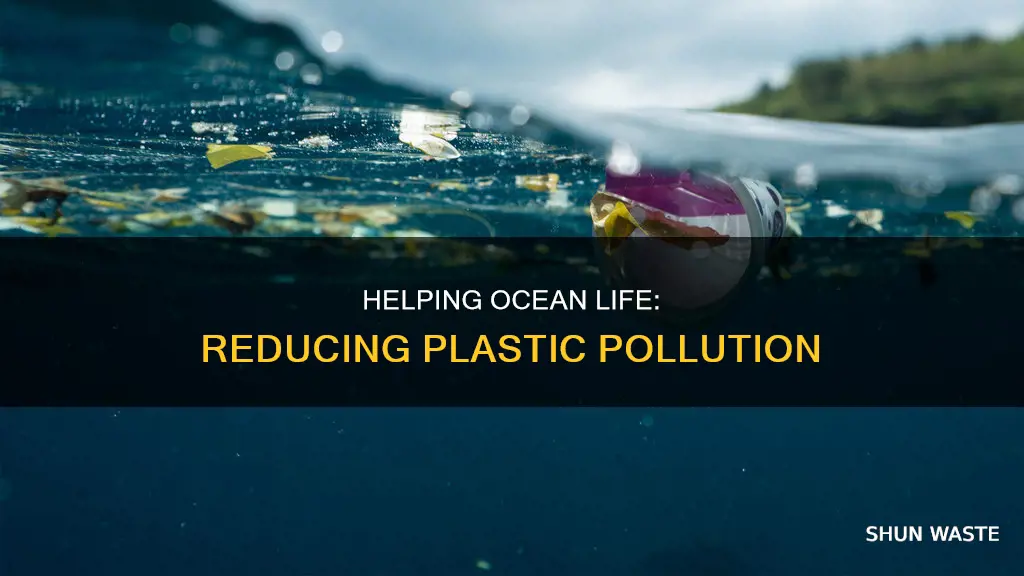 who thought about helping the ocean with plastic