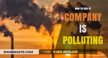 Report Corporate Pollution: Key Contacts to Stop Environmental Damage Now
