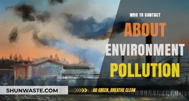 Environmental Pollution Concerns: Key Contacts for Reporting and Action