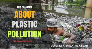 Who to Contact: Tackling Plastic Pollution and Taking Action