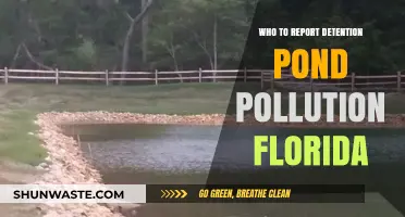 Reporting Detention Pond Pollution in Florida: Who to Contact
