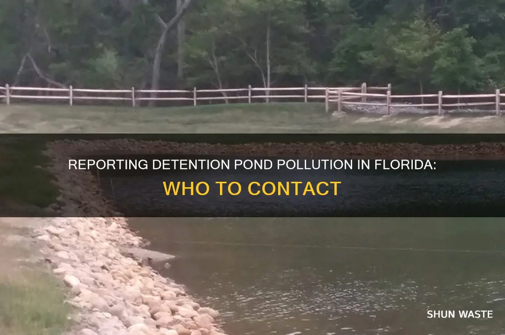 who to report detention pond pollution florida