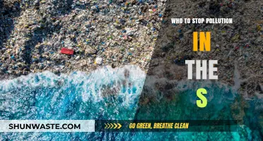 Combat Pollution in the Seas: Effective Strategies for a Cleaner Ocean
